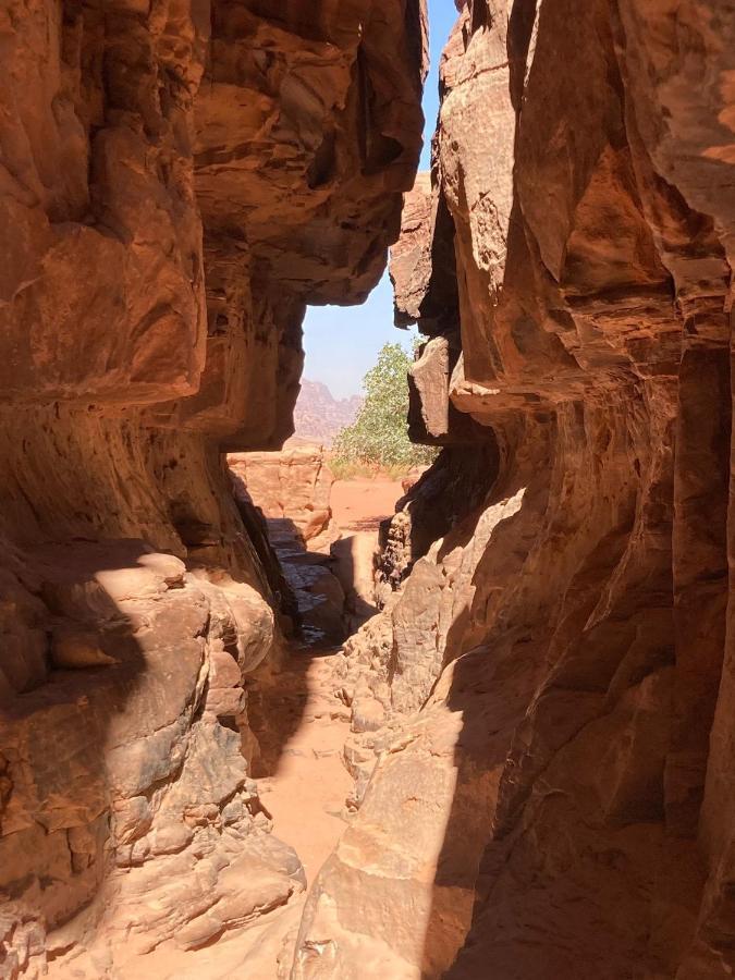 Desert Guide Camp 瓦迪拉姆 外观 照片